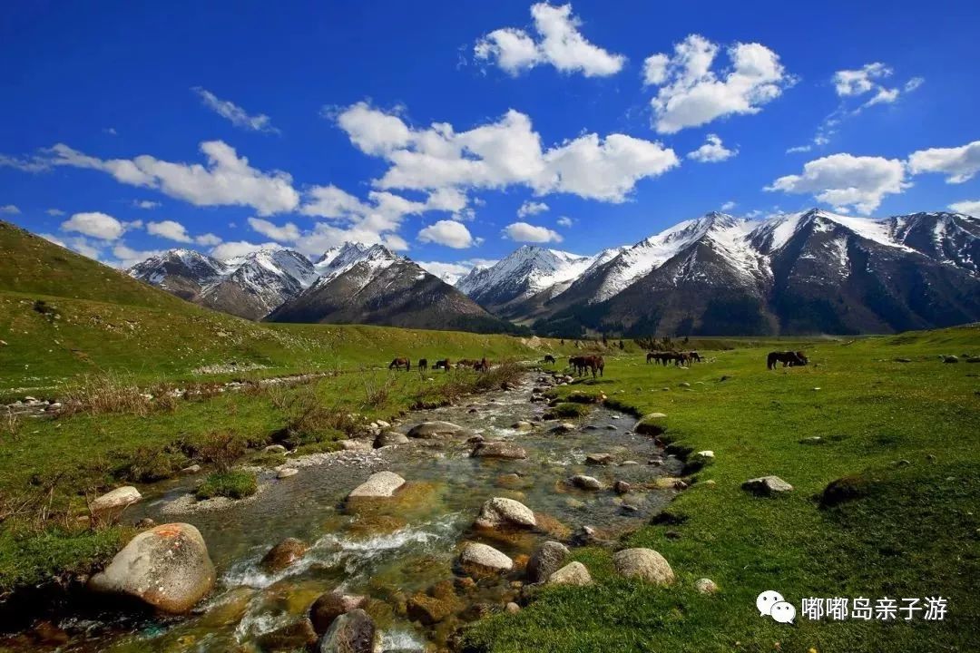 新疆，梦想起航之地，学习照亮自信之路