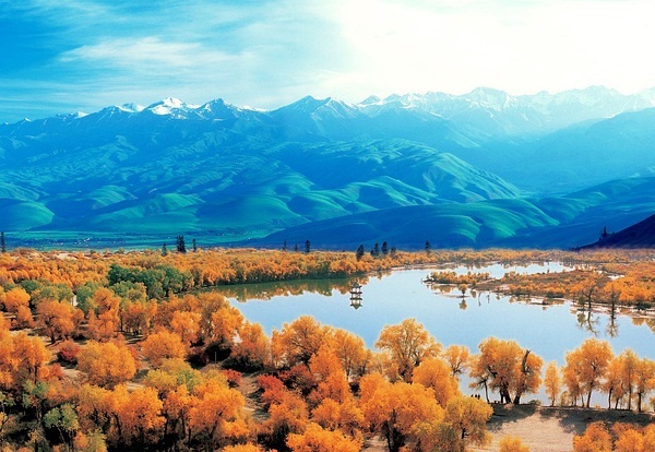 新疆,梦想起航之地,学习照亮自信之路